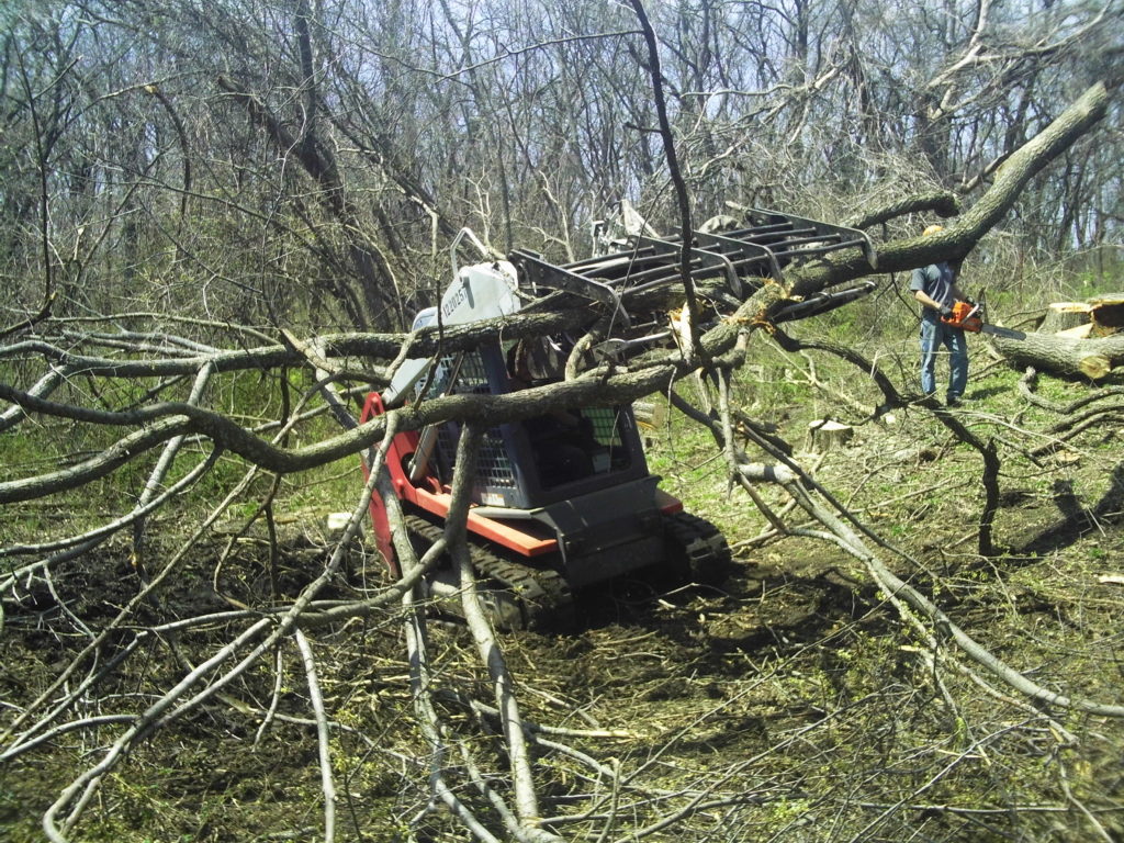 Takeuchi grappling & removing long branches