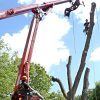 ash-grapple-logs