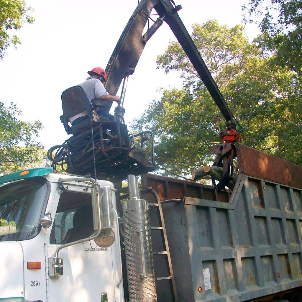 Brush Hauling & Chipping Forest Keepers Tree Care