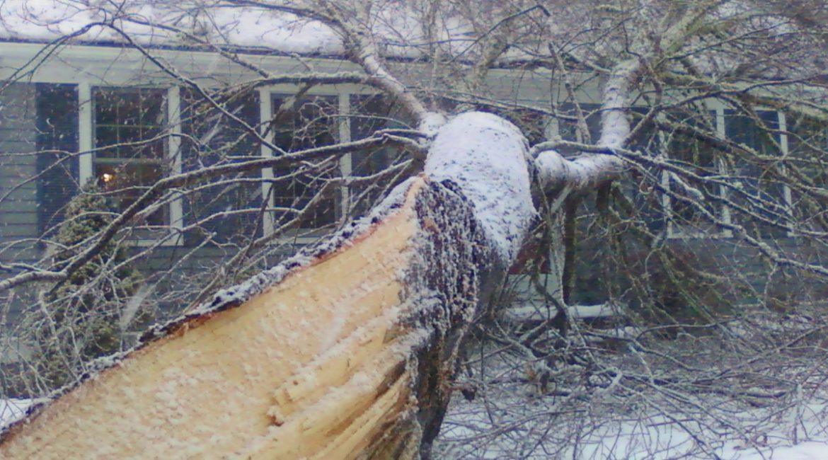 Emergency service - tree fallen on house in winter storm