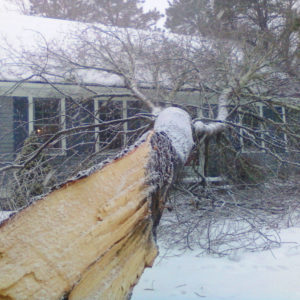 Emergency service - tree fallen on house in winter storm