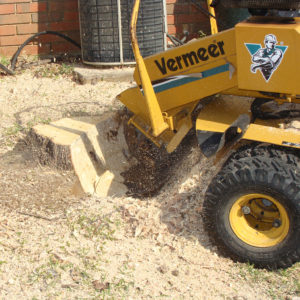 stump grinding