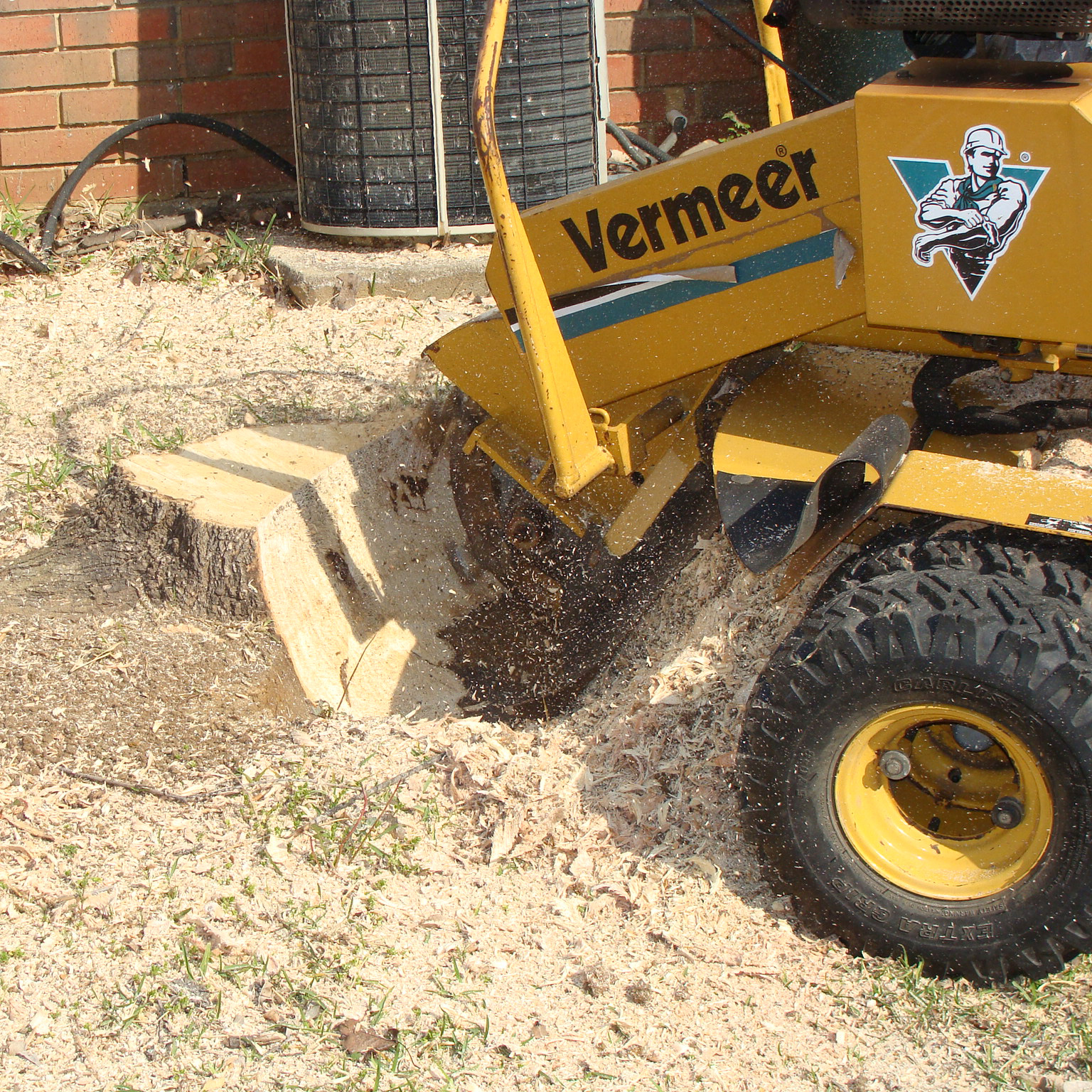 Tree Stump Grinding FAQs - Barts Tree Service