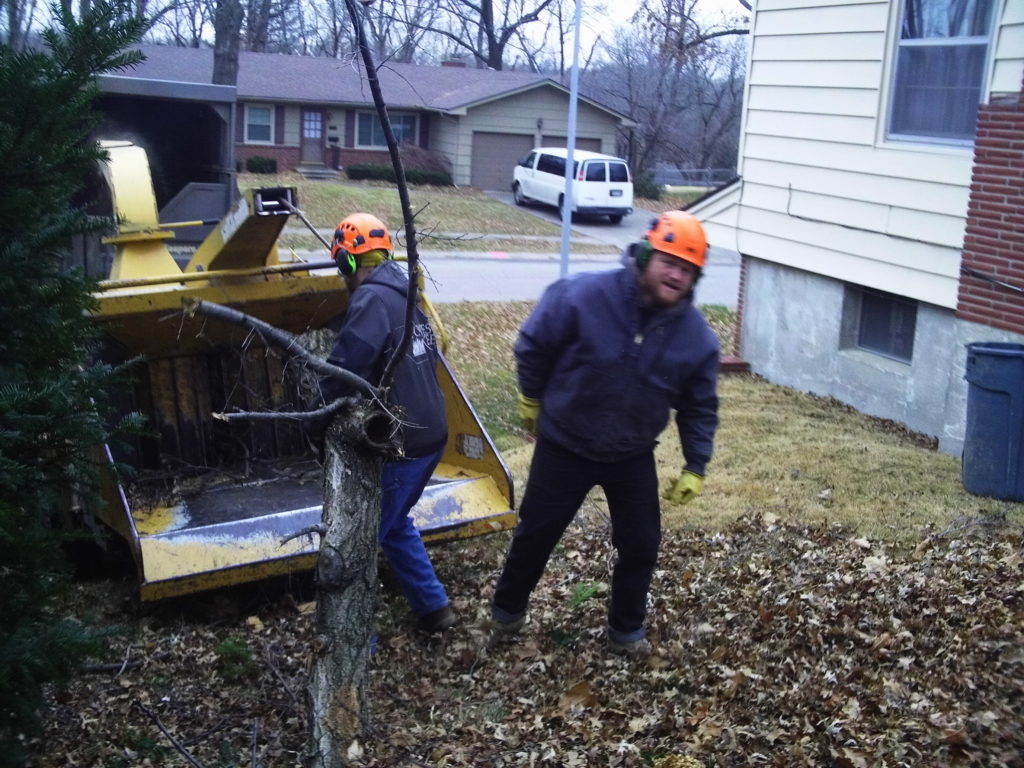 Brush Hauling & Chipping