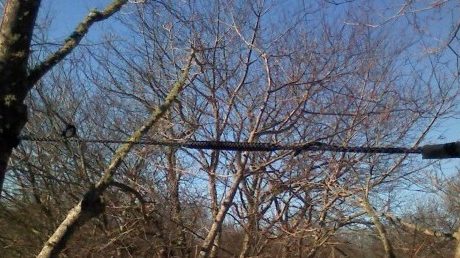 Cabling & Bracing