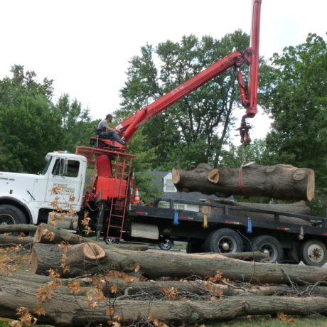 Crane Service