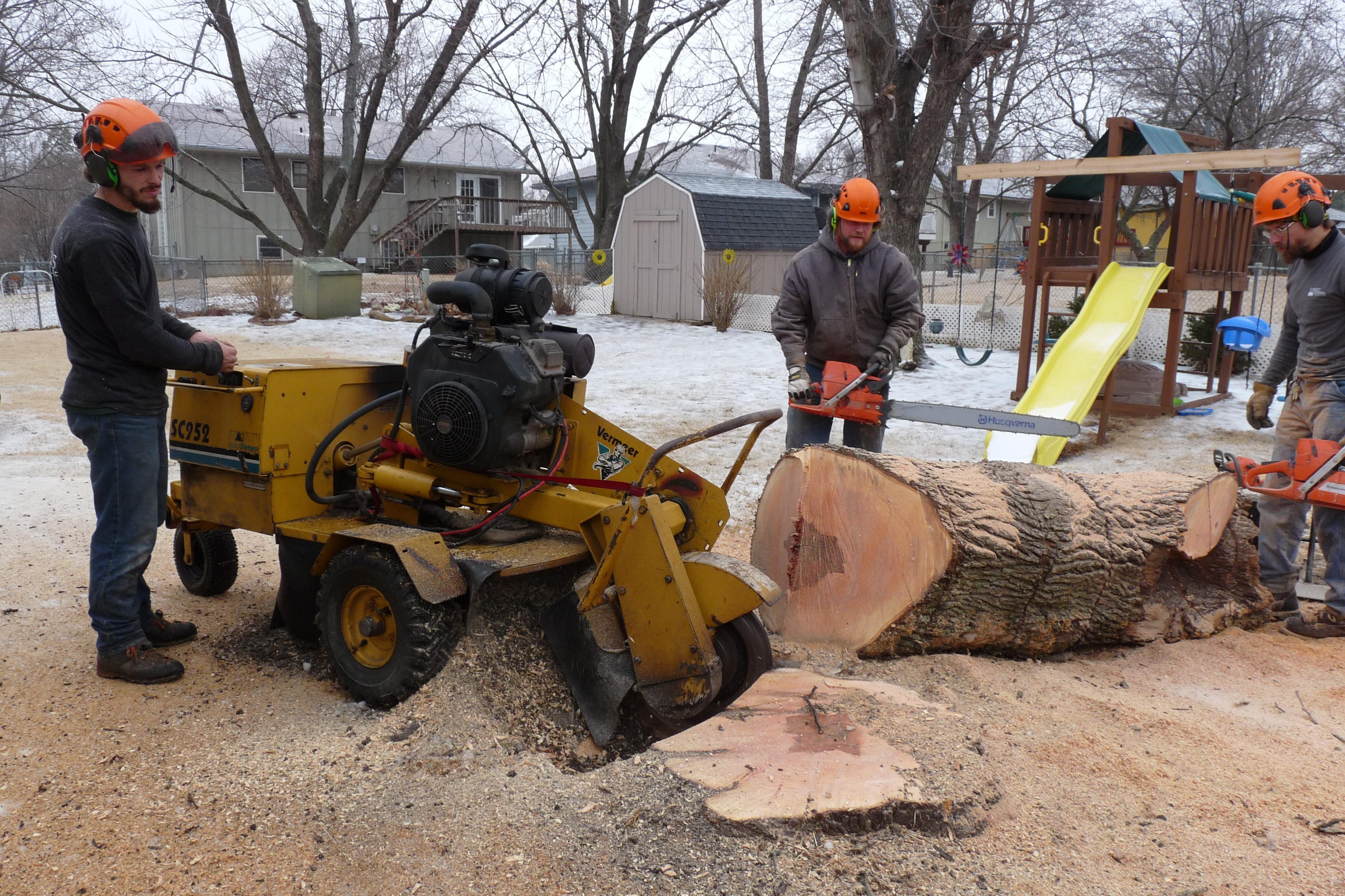 Stump grinding & root removal