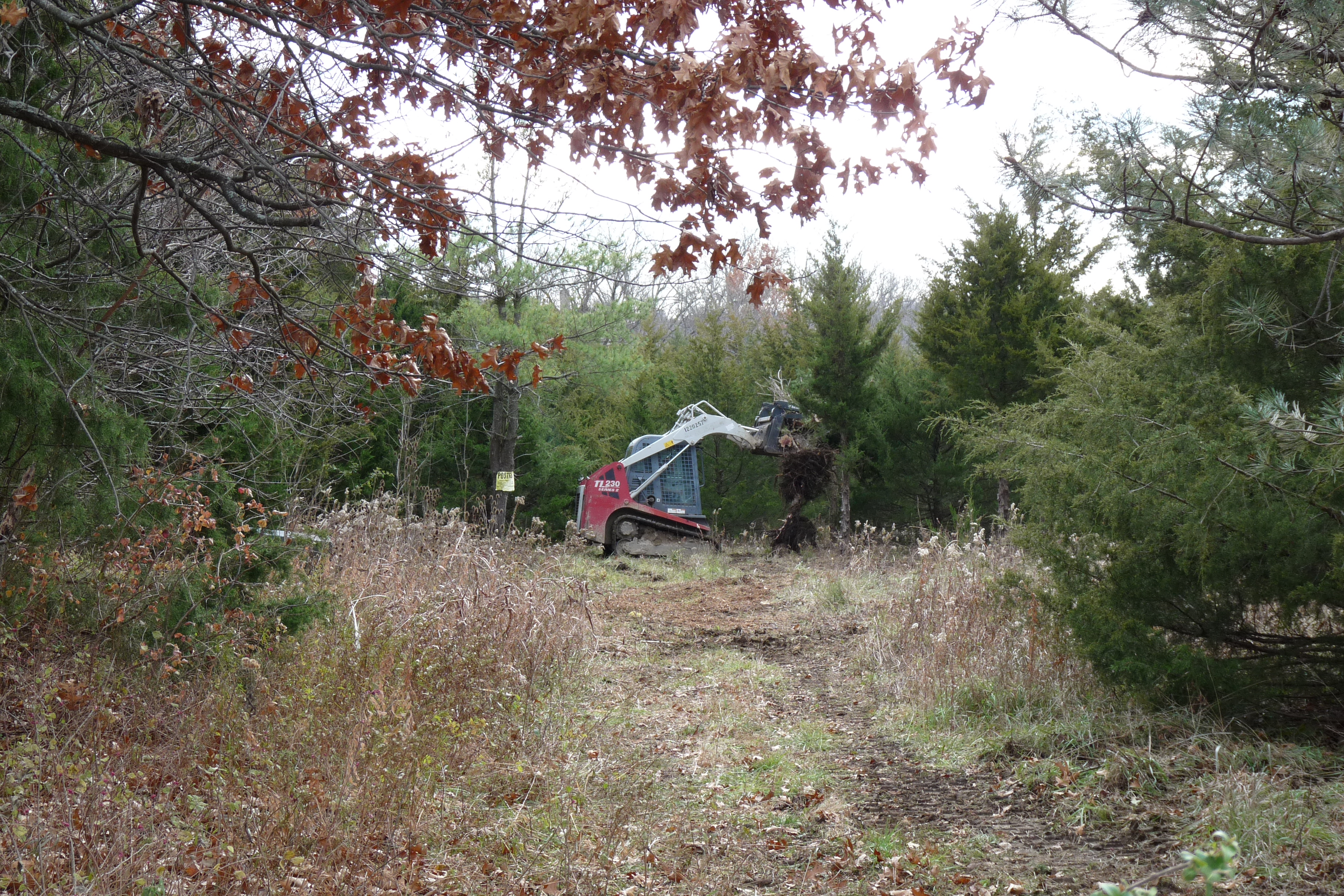 Land & Lot Clearing & Forest Management